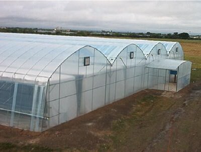 Commercial Greenhouse Range